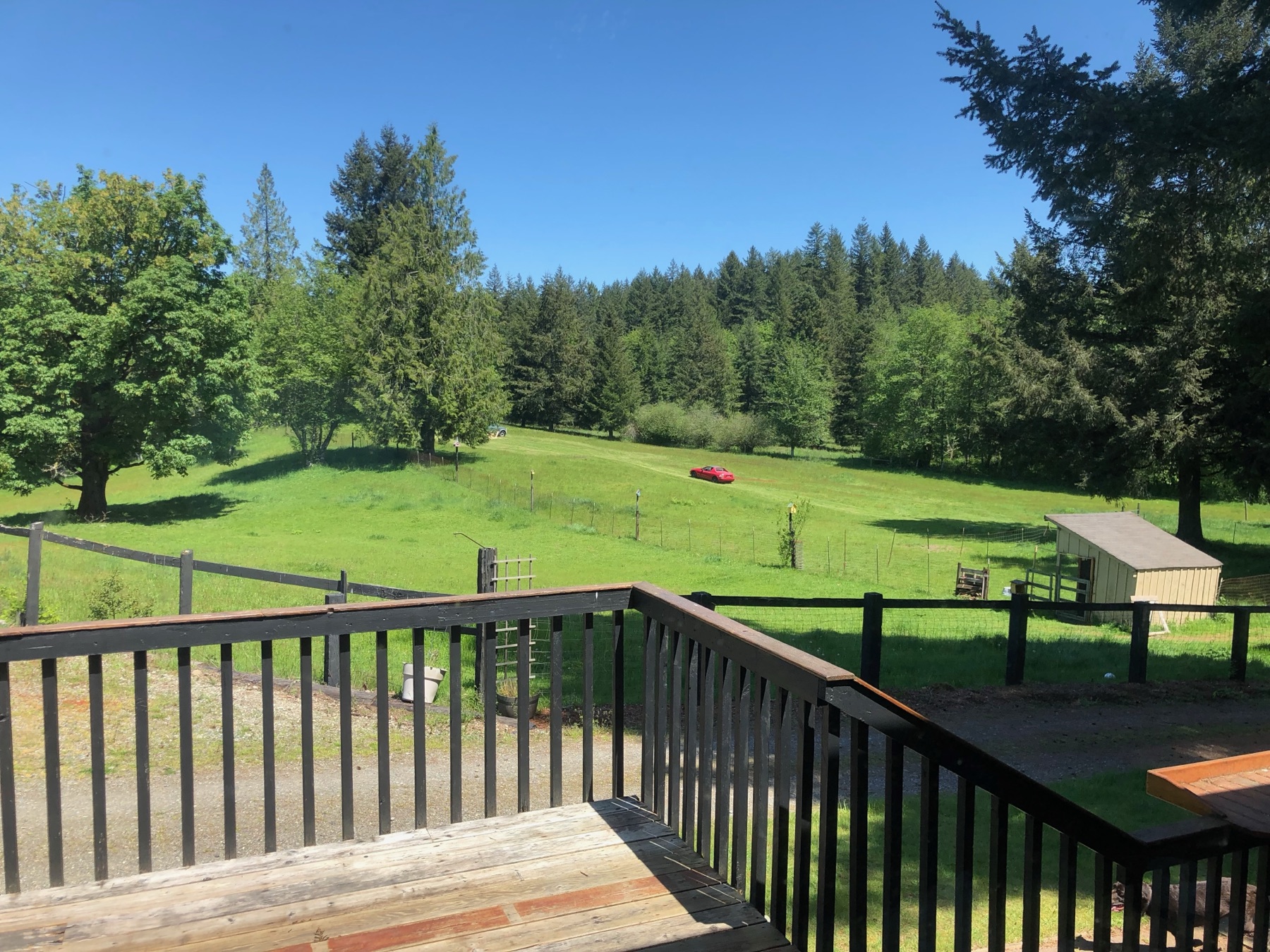 Green fenced pasture and animal shelter viewed from the house